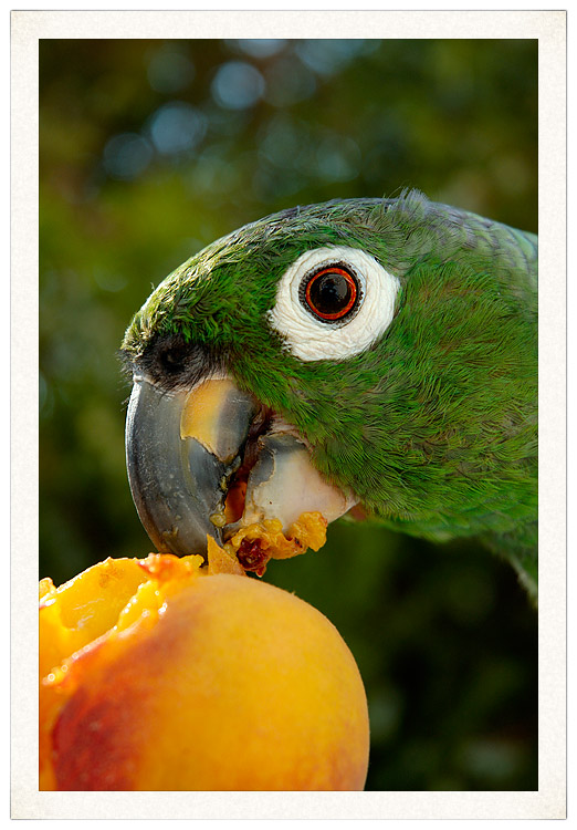 [Без названия]