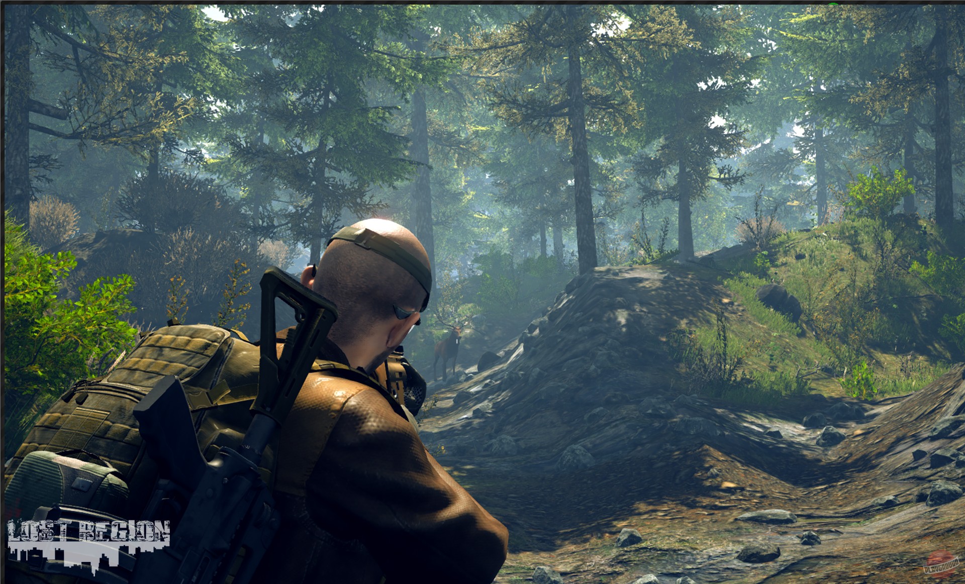 Скриншот Lost Region