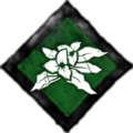 Dbd-survivor-perk-botanyknowledge.png