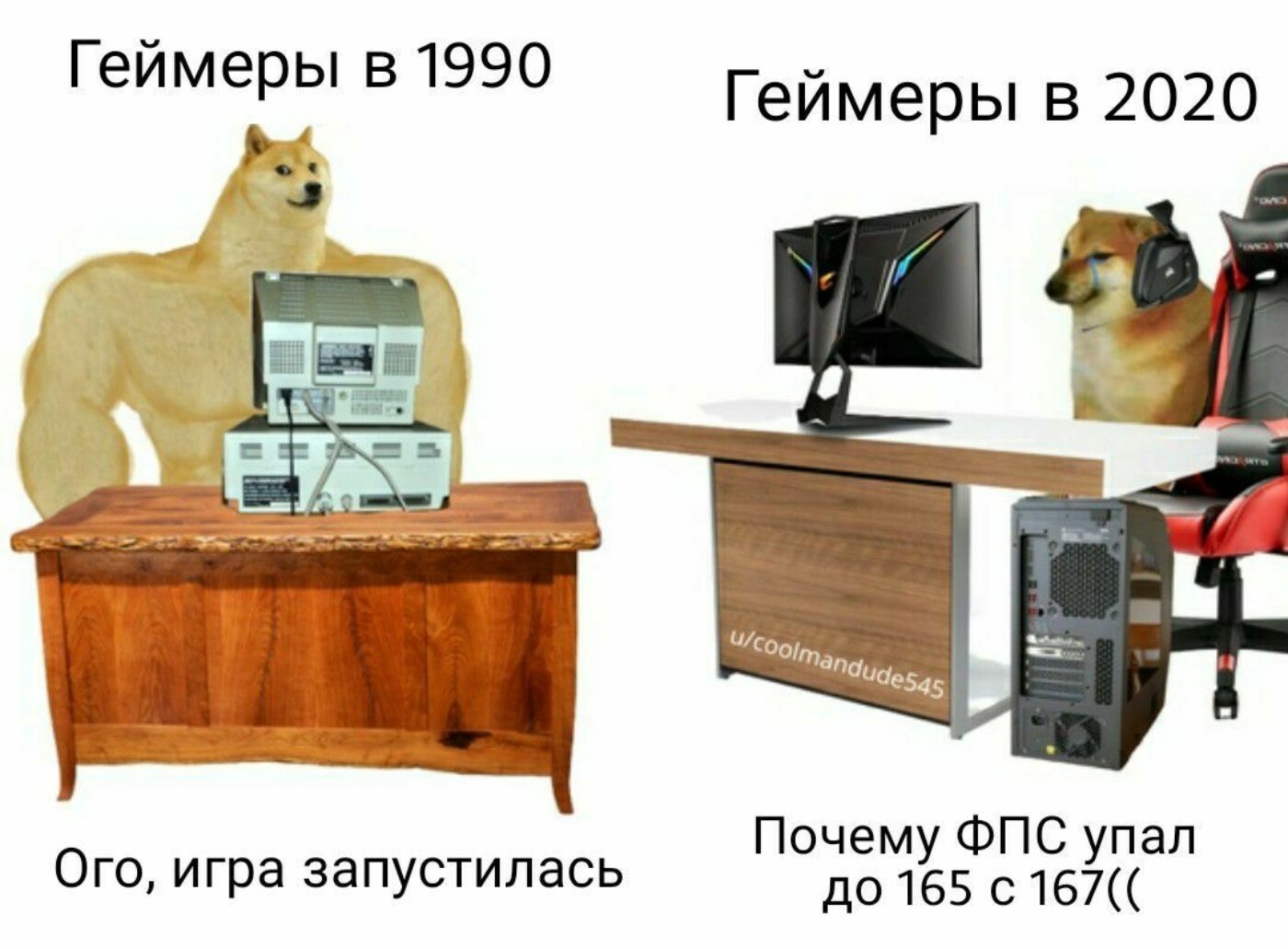 Собаки тогда и сейчас мем