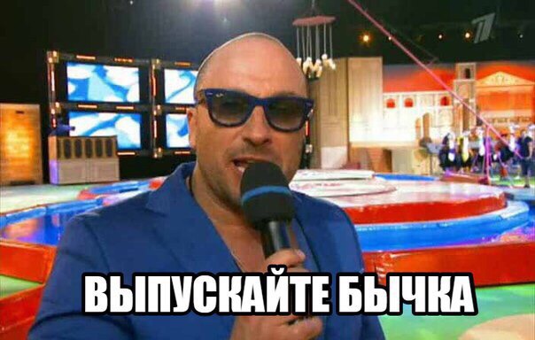 Сколько лет этому бычку мем "Газпром-медиа" грозится выпустить конкурента TikTok