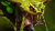 Venomancer.png