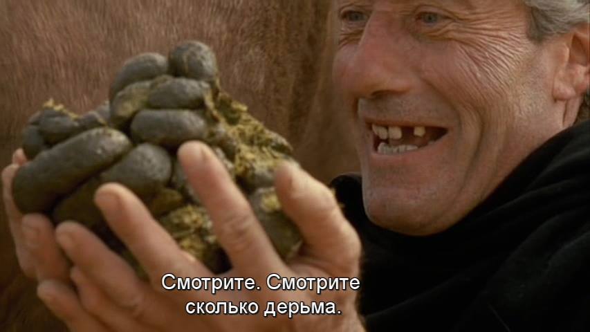 Лицо в говне мем