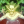 Exorcism icon.png