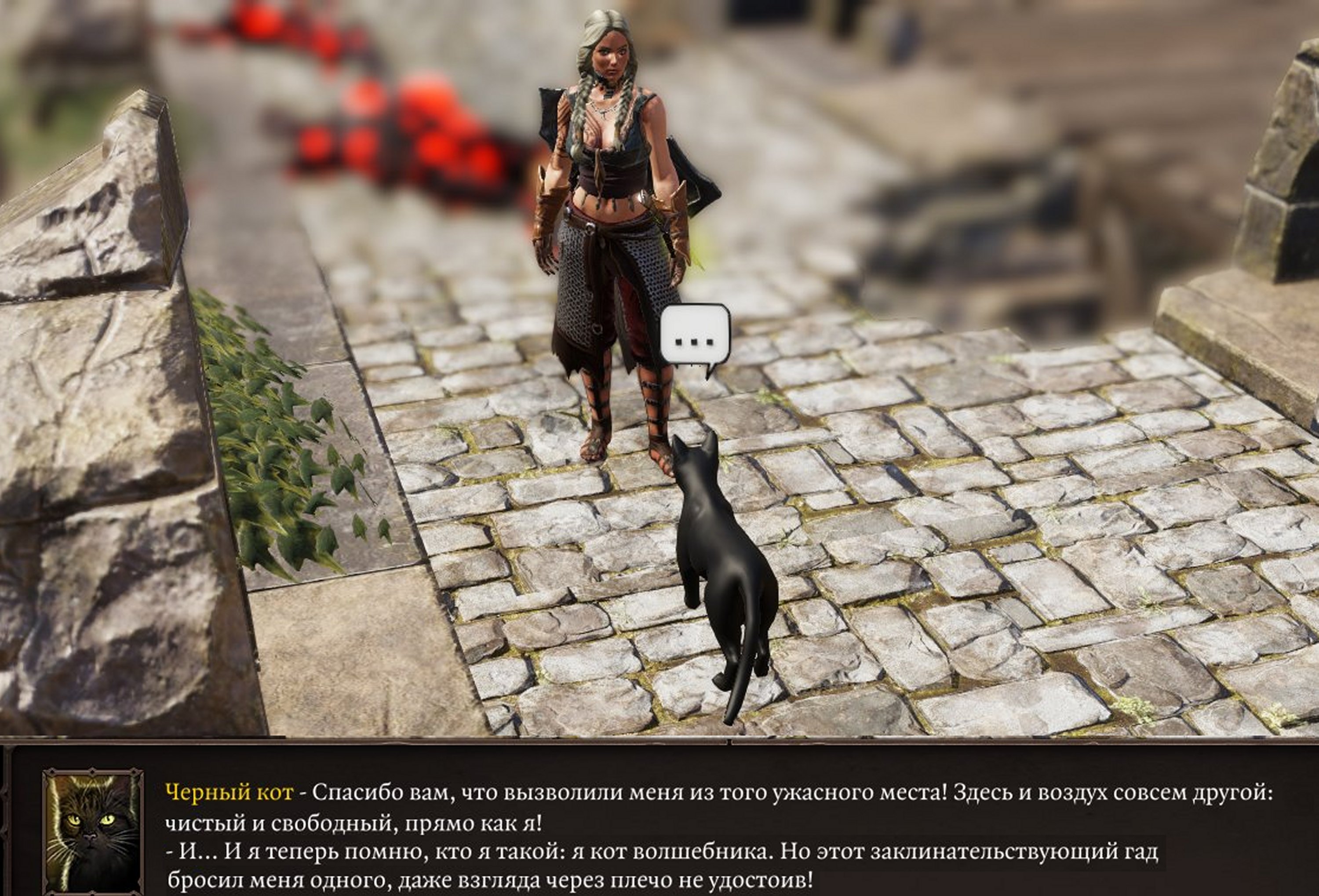 Кот арт 9life. Монастырский лес дивинити 2. Divinity 2 черный кот. Фейн divinity original sin 2. Черный кот дивинити.