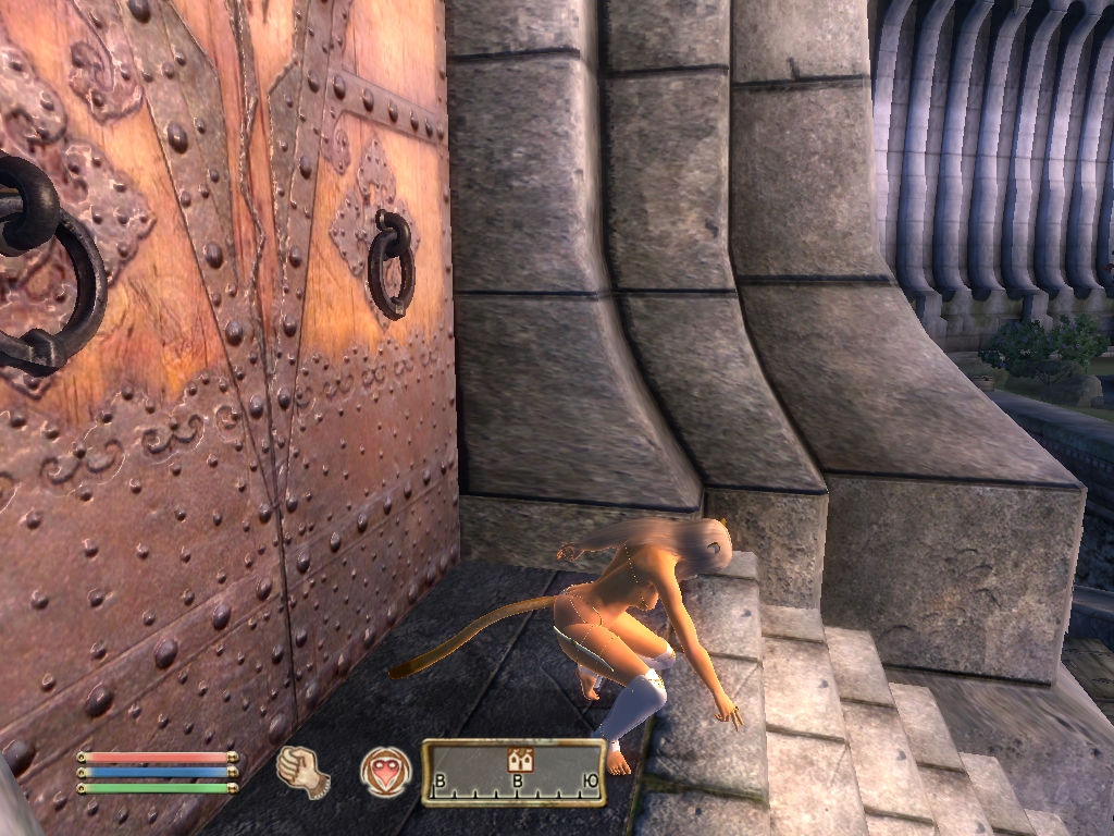 Oblivion не работает. Oblivion не работает