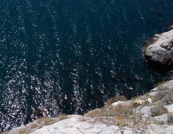 Картинка 7 из 19832