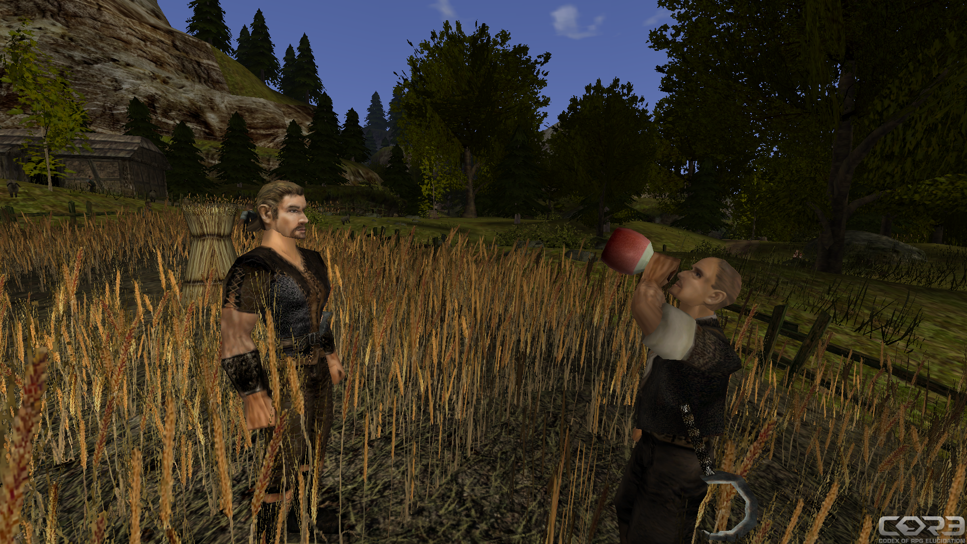 Gothic playerkit. 1. Gothic 2 альфа версия. 1. Gothic игра 1.