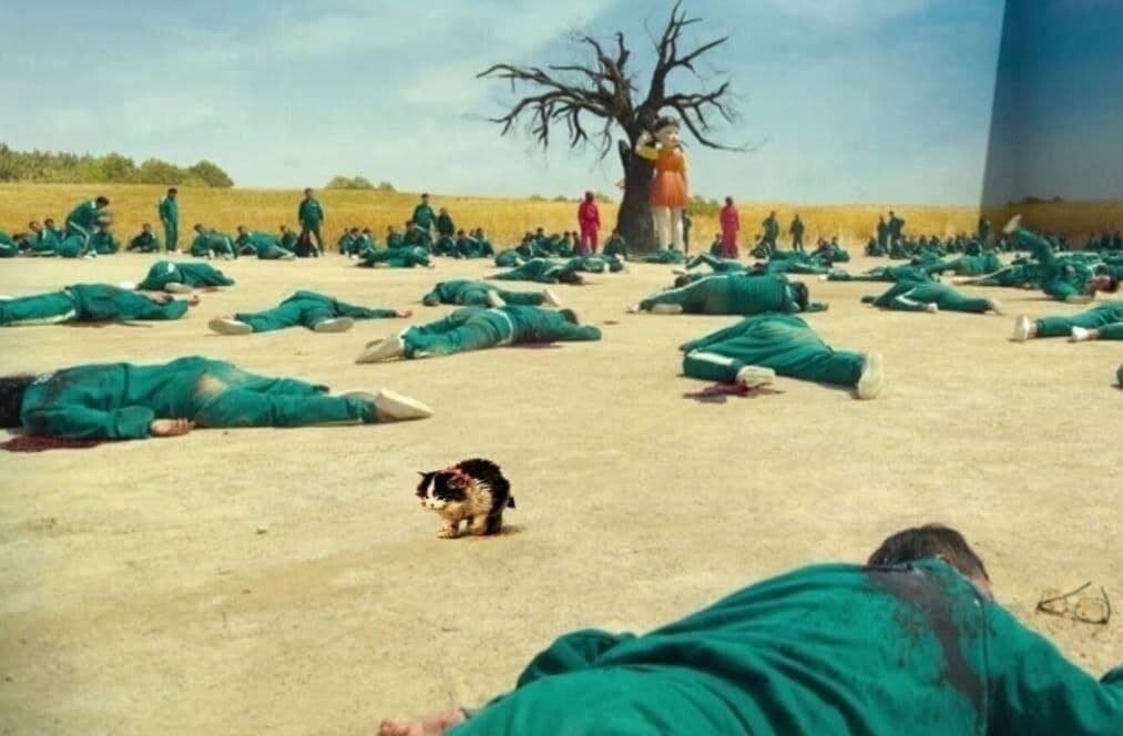 Новосибирец устроил свою игру в кальмара - с печеньем и расстрелом проигравших и