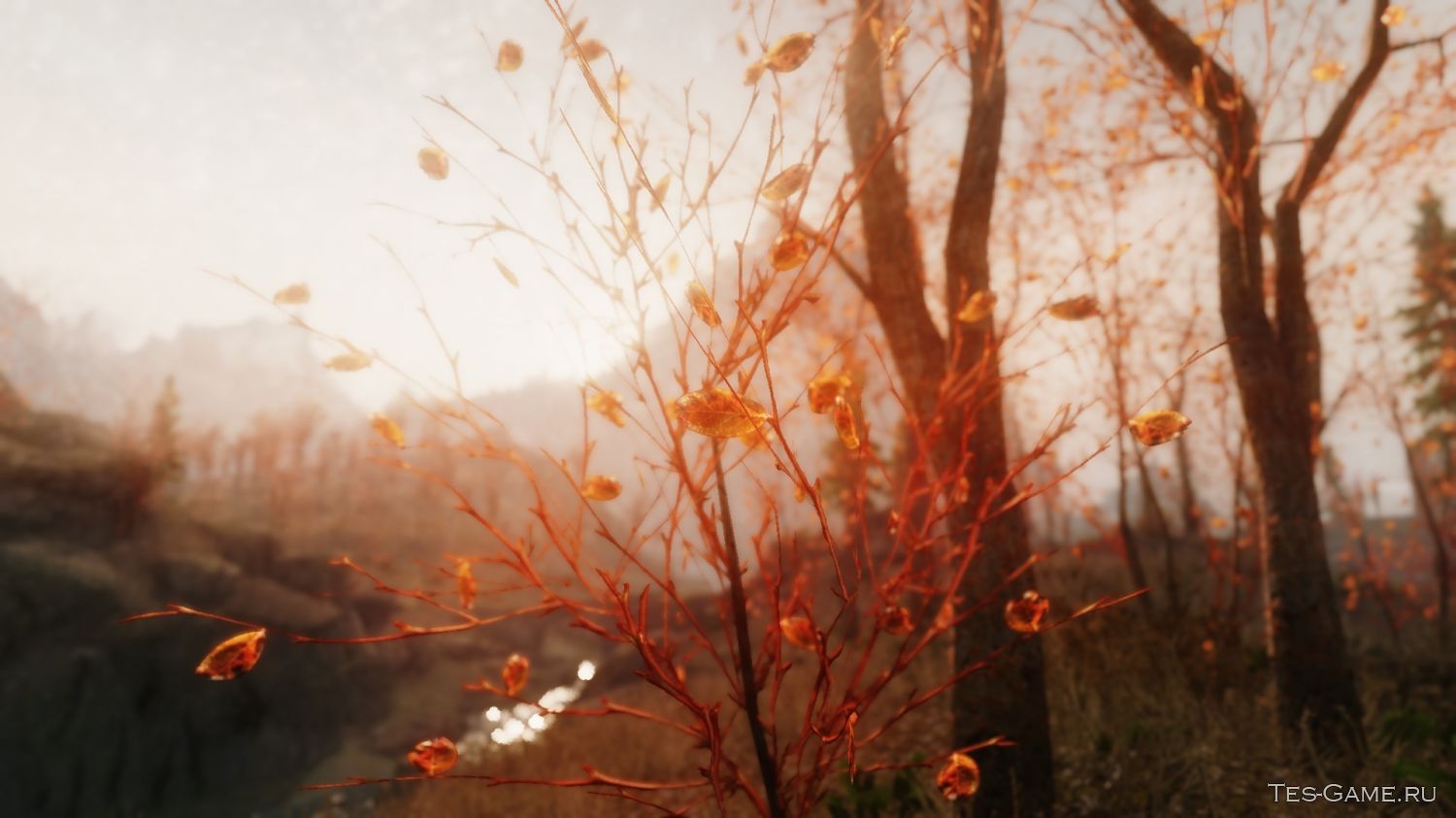 74804159.jpg (1500×843)