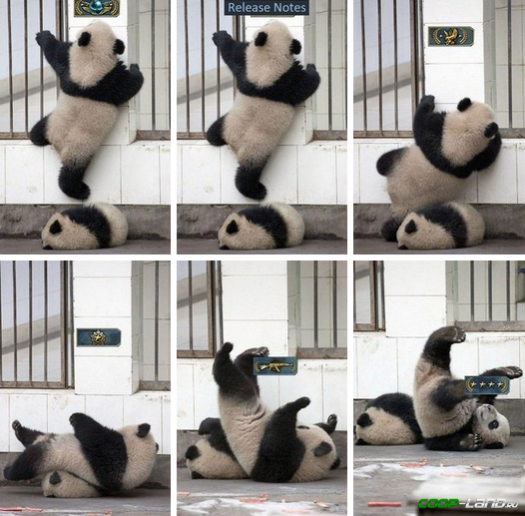 Как сейчас выглядит поднятие звания в CS:GO