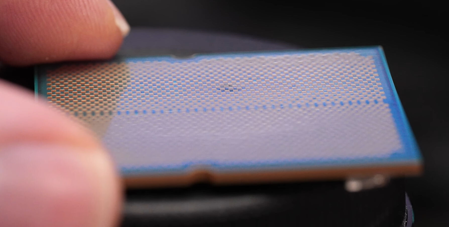 MwmuLeYWxsmLpIRsOvv0Vg.jpeg?800-auto