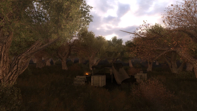 NwY3tMqqKLloA2qErjAkog.png.webp?800-auto