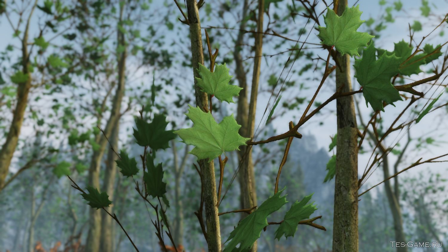 84884884.jpg (1500×843)