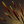 Quill Spray icon.png