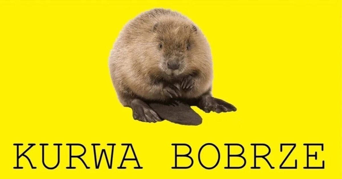 Chadcapy Stickers for Sale Redbubble