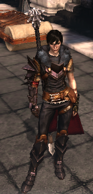 Dragon age 2: Save Game (Start, after Flemeth, level 6, in Kirkovall)
