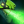 Nethertoxin icon.png