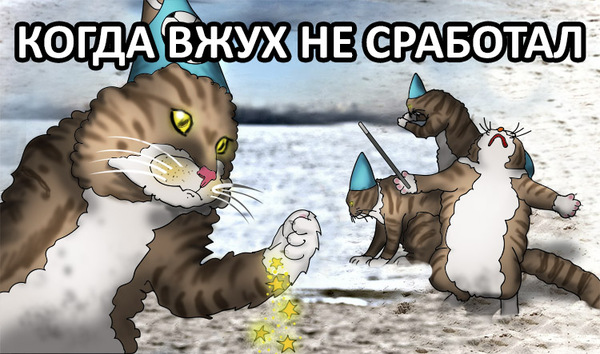Мем с котом вжух