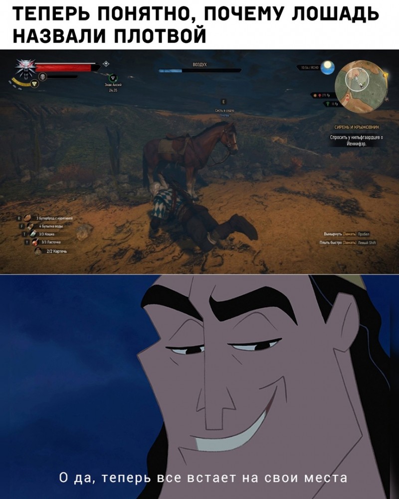 На что ловить плотву. Живец сорожка (плотва). Плотва описание рыбы. Почему плотва. Почему плотва.