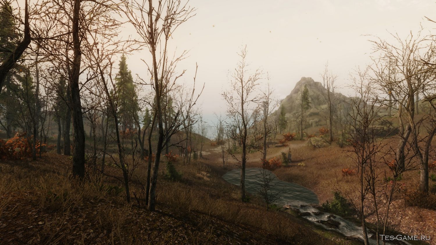 73275823.jpg (1500×843)