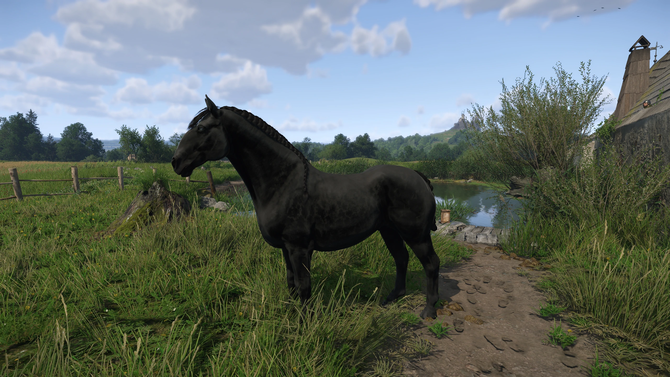 Erdel Pebbles - Noble