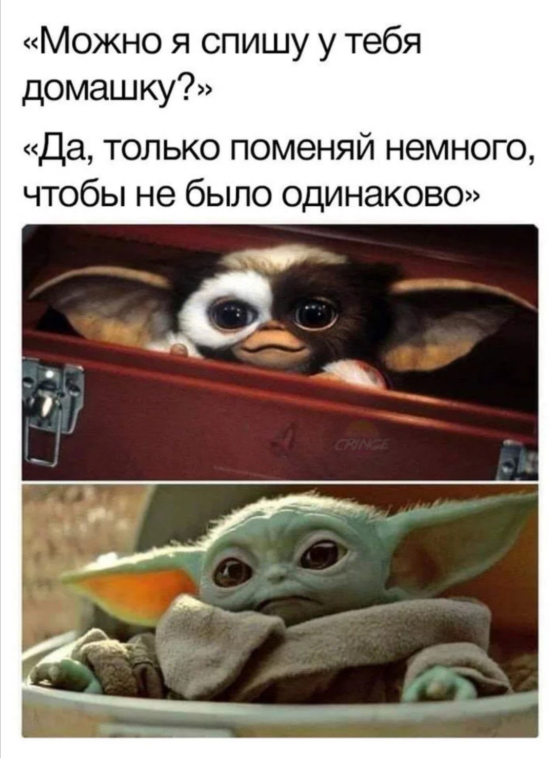 I just my homework. Домашние задания хелп. I just my homework. Can i copy your homework. Can i copy your homework.