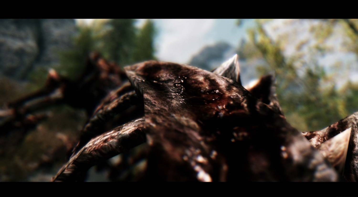 Победить легендарного дракона skyrim. Скайрим скелет дракона. Скайрим из костей дракона. Кость дракона скайрим. Morrowind кираса кости дракона.