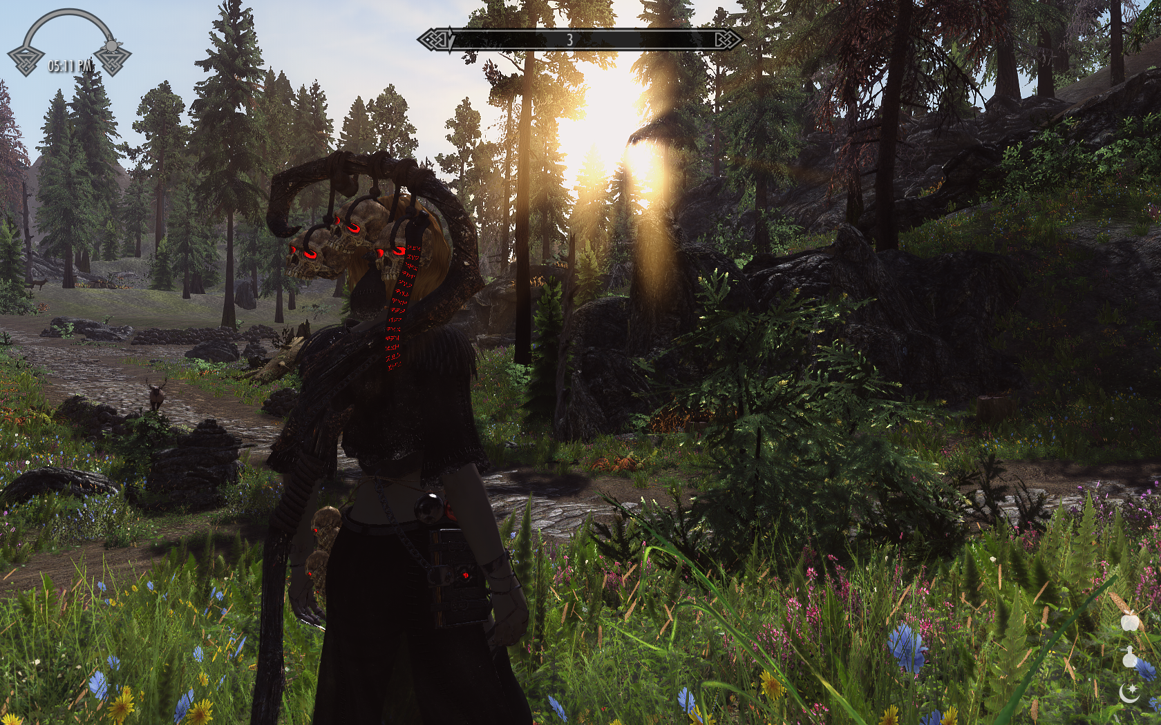 Скачать Skyrim LE "Одеяние некроманта от DeserterX UNP - CBBE на ...