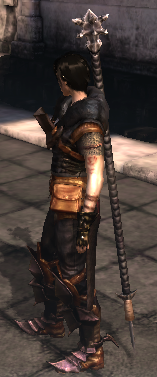 Dragon age 2: Save Game (Start, after Flemeth, level 6, in Kirkovall)
