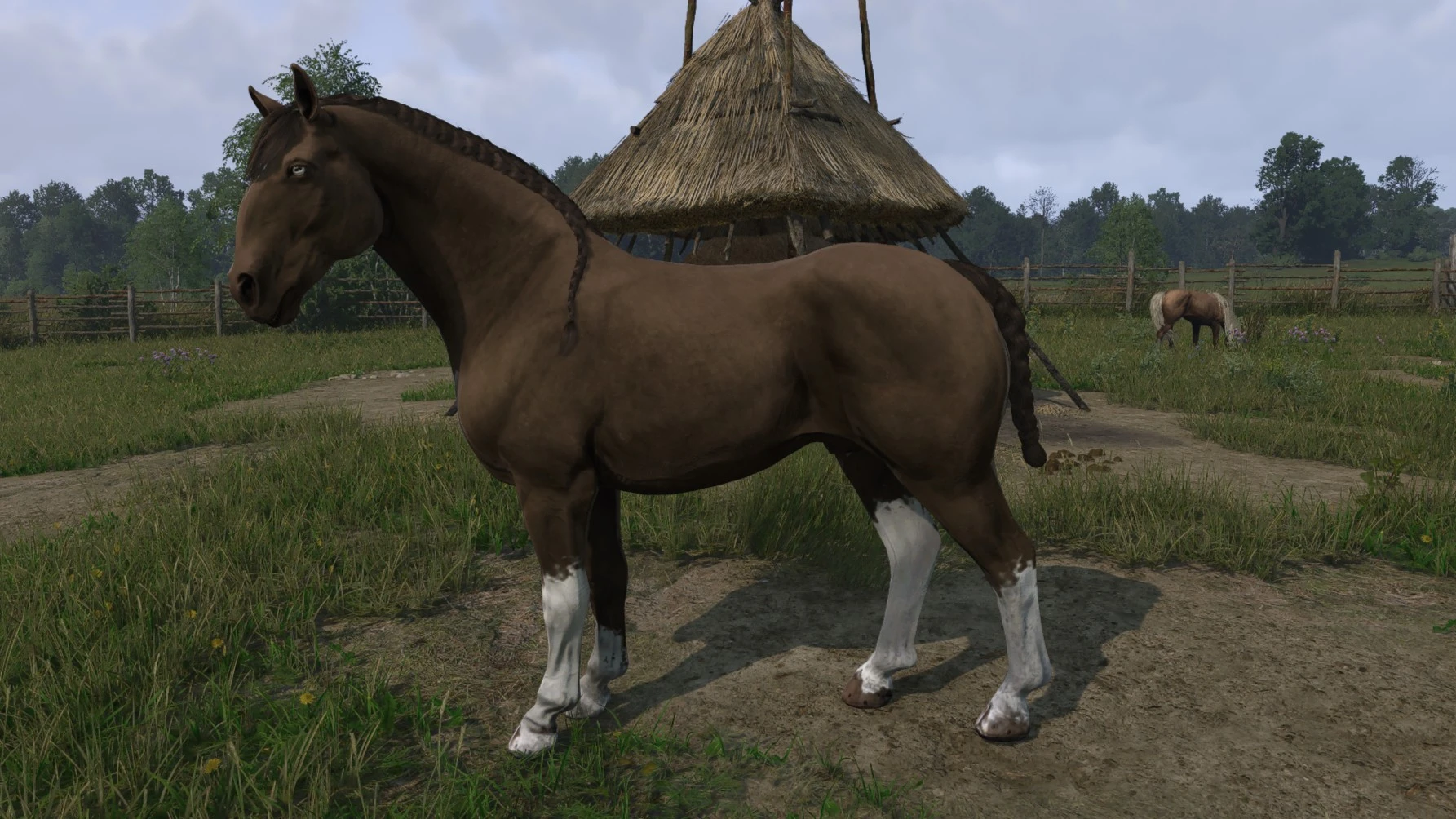 Windwurf - Noble - Braid