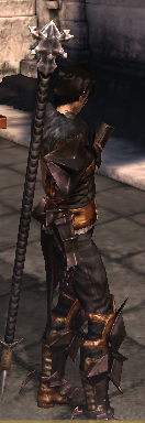 Dragon age 2: Save Game (Start, after Flemeth, level 6, in Kirkovall)