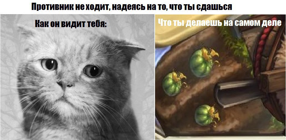 Надеяться посетить. Надеяться посетить