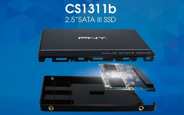 Ssd level. Линейка ssd asus. pny ssd datasheet.