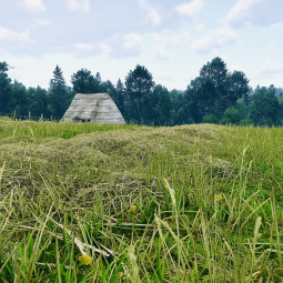 Виртуальный фотограф показал красоту природы в Kingdom Come: Deliverance 2 и возможности встроенного фоторежима