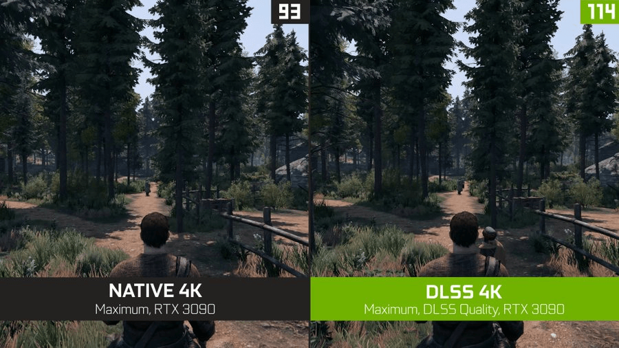 Скачать Mount & Blade 2: Bannerlord "Последняя Версия Nvidia DLSS.